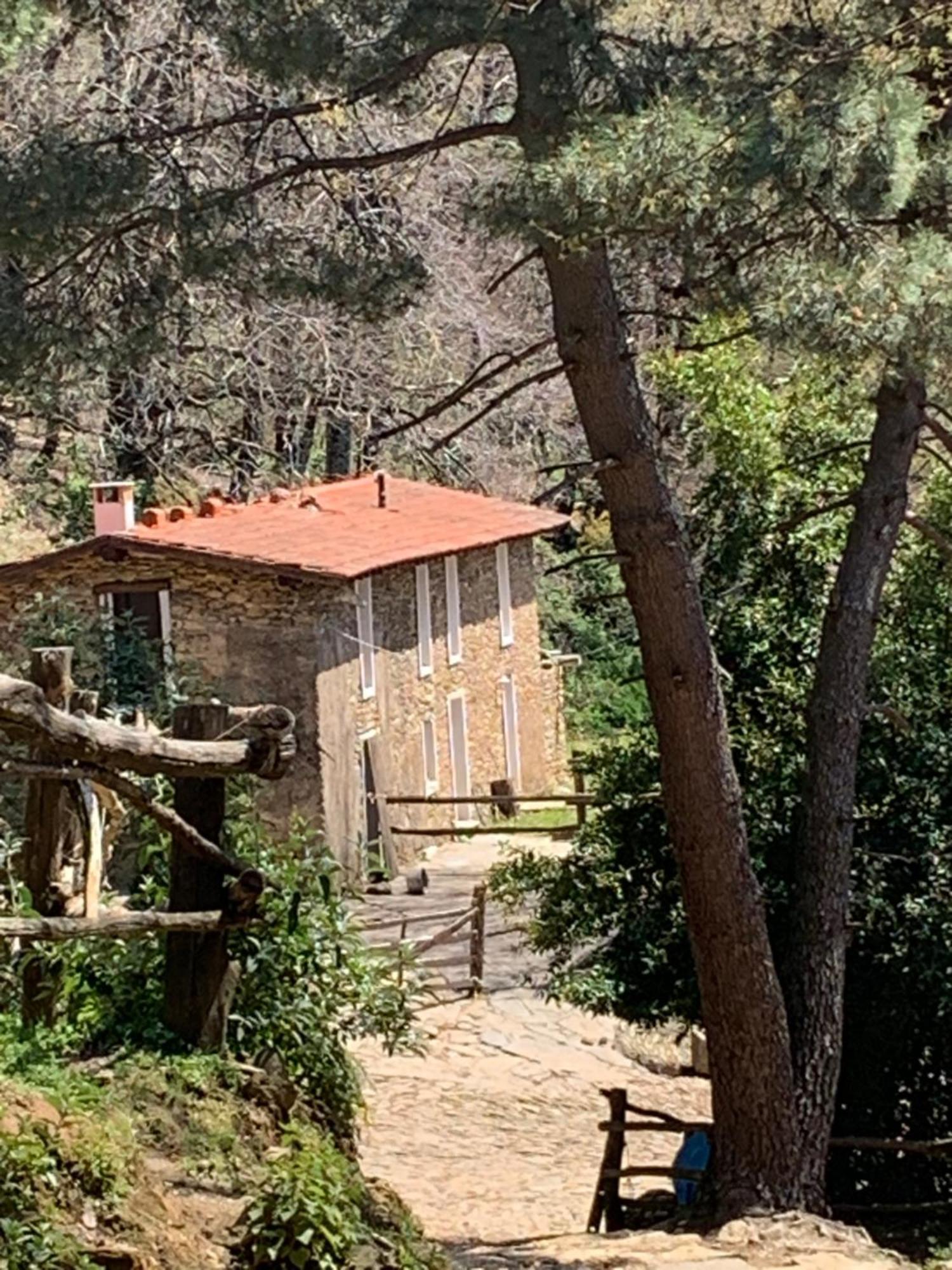 Centro Trekking A Cavallo Monte Brugiana Guest House Massa  Exterior photo