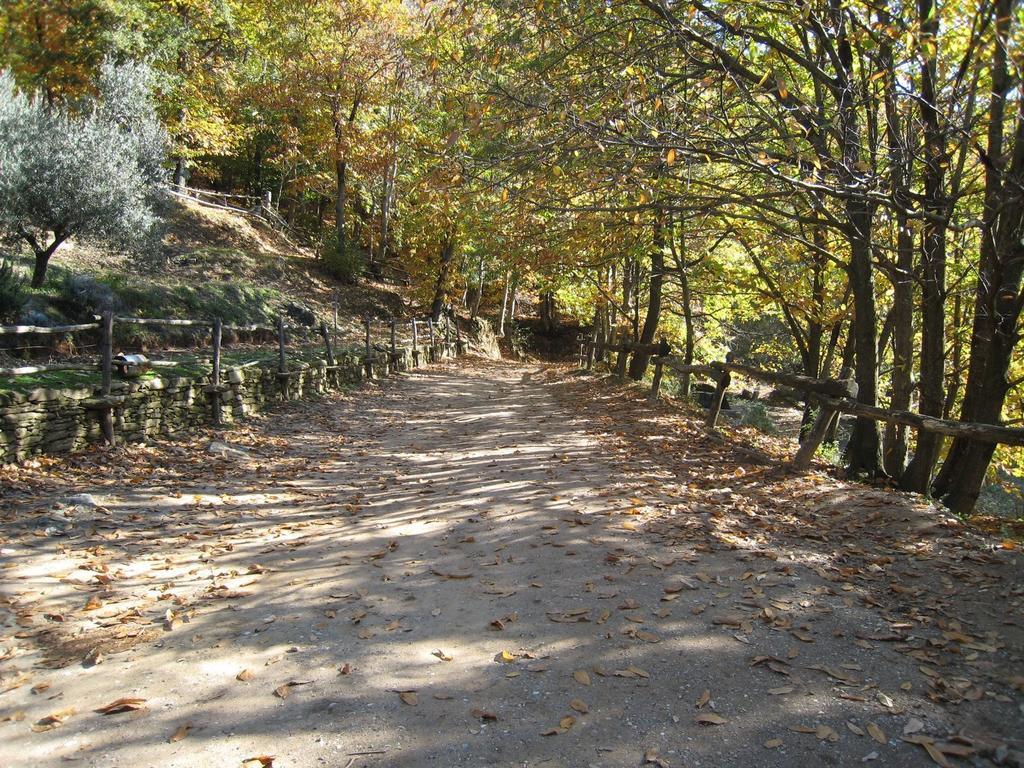 Centro Trekking A Cavallo Monte Brugiana Guest House Massa  Exterior photo