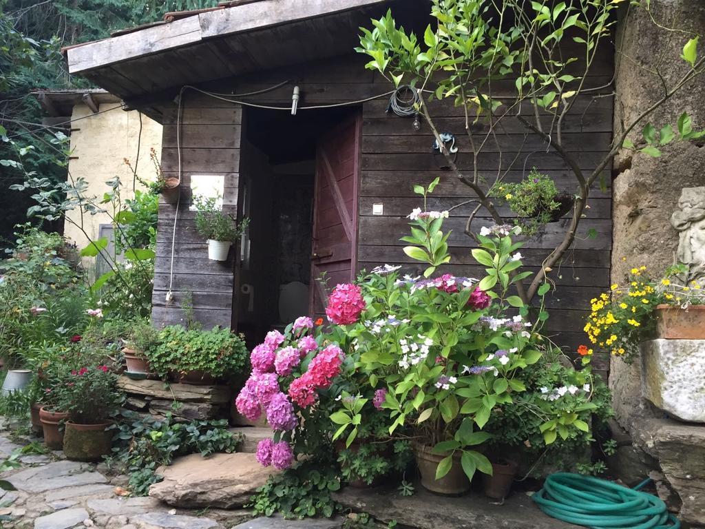 Centro Trekking A Cavallo Monte Brugiana Guest House Massa  Exterior photo