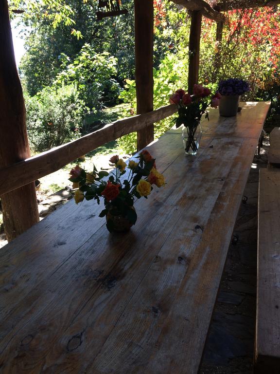Centro Trekking A Cavallo Monte Brugiana Guest House Massa  Exterior photo
